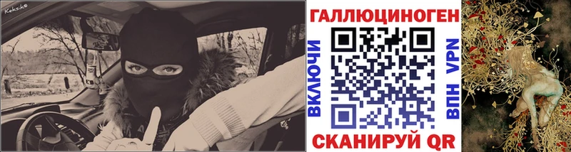 mega ТОР  Медвежьегорск  Псилоцибиновые грибы Psilocybine cubensis 