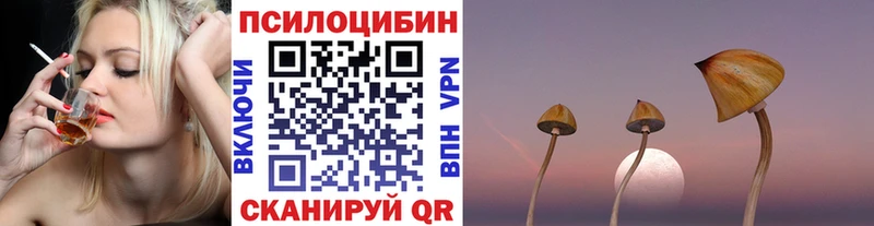 Псилоцибиновые грибы ЛСД Медвежьегорск